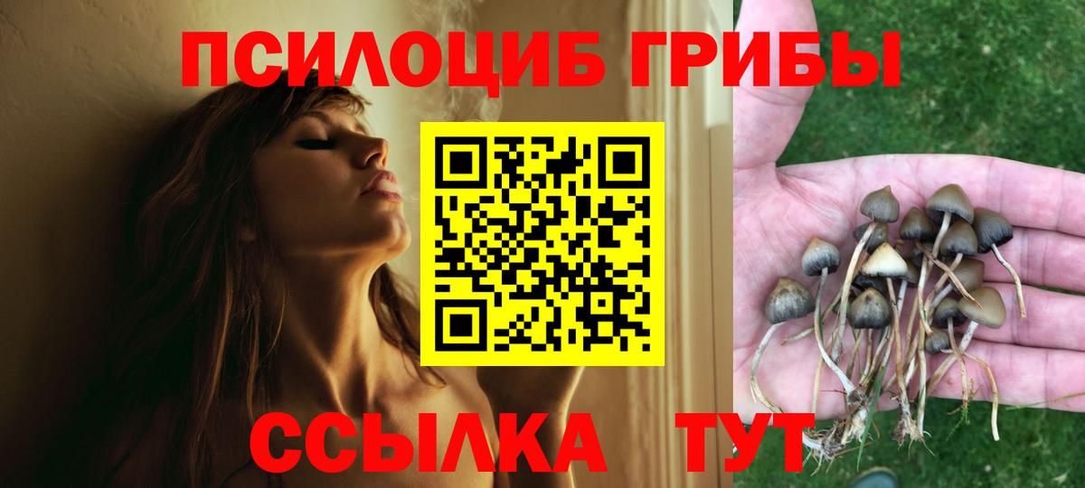 Ярославль  Галлюциногенные грибы Psilocybine cubensis  Вход с VPN  Галлюциногенные грибы мухоморы 